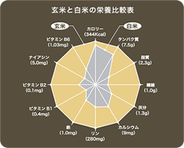 玄米と白米の栄養比較表