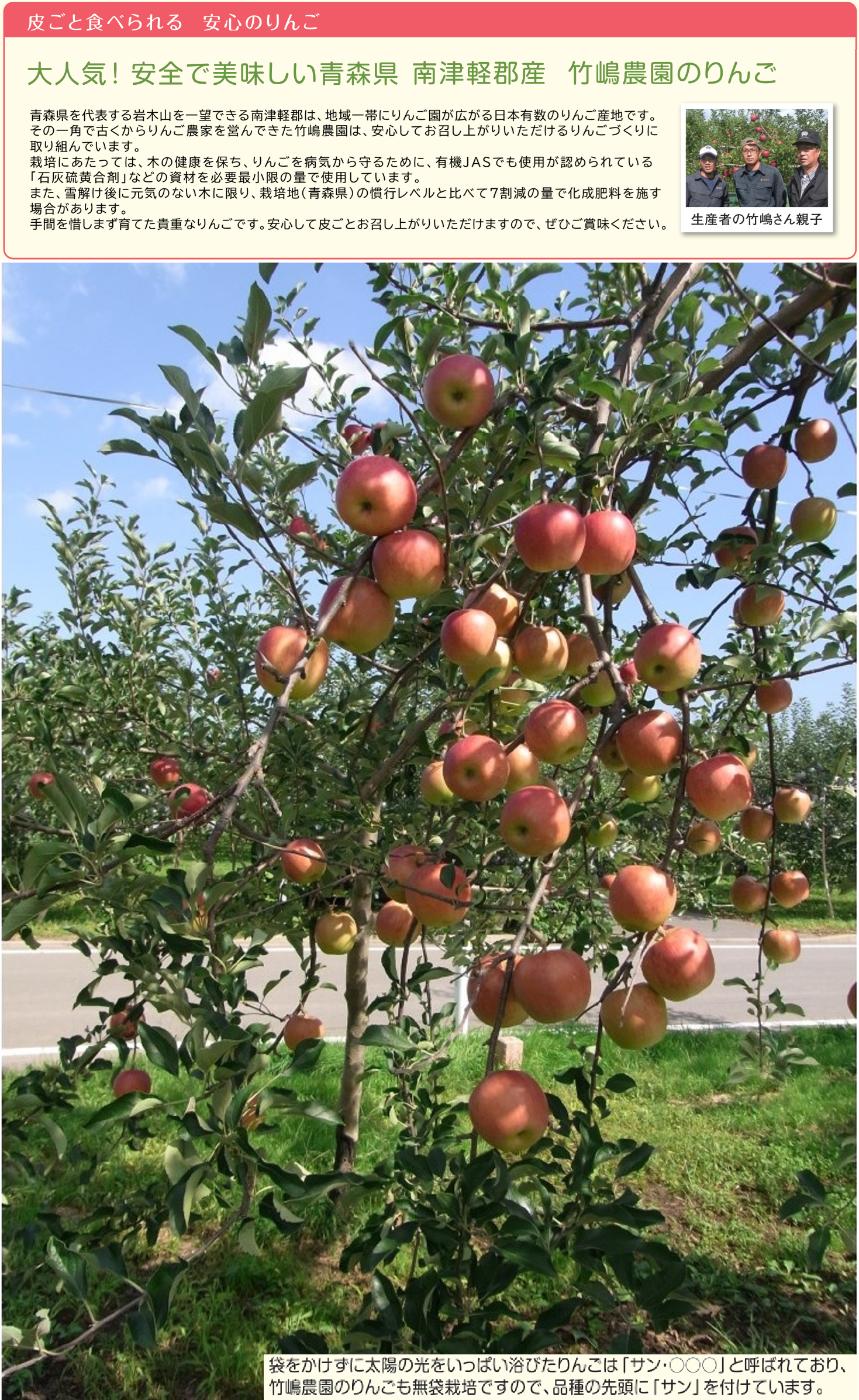 リマ特選直送品【りんご】