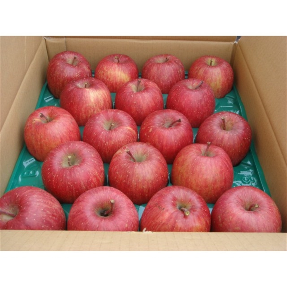 【リマ特選直送品】竹嶋さんのりんご サン・ふじ【販売期間:12月1日~4月30日予定】