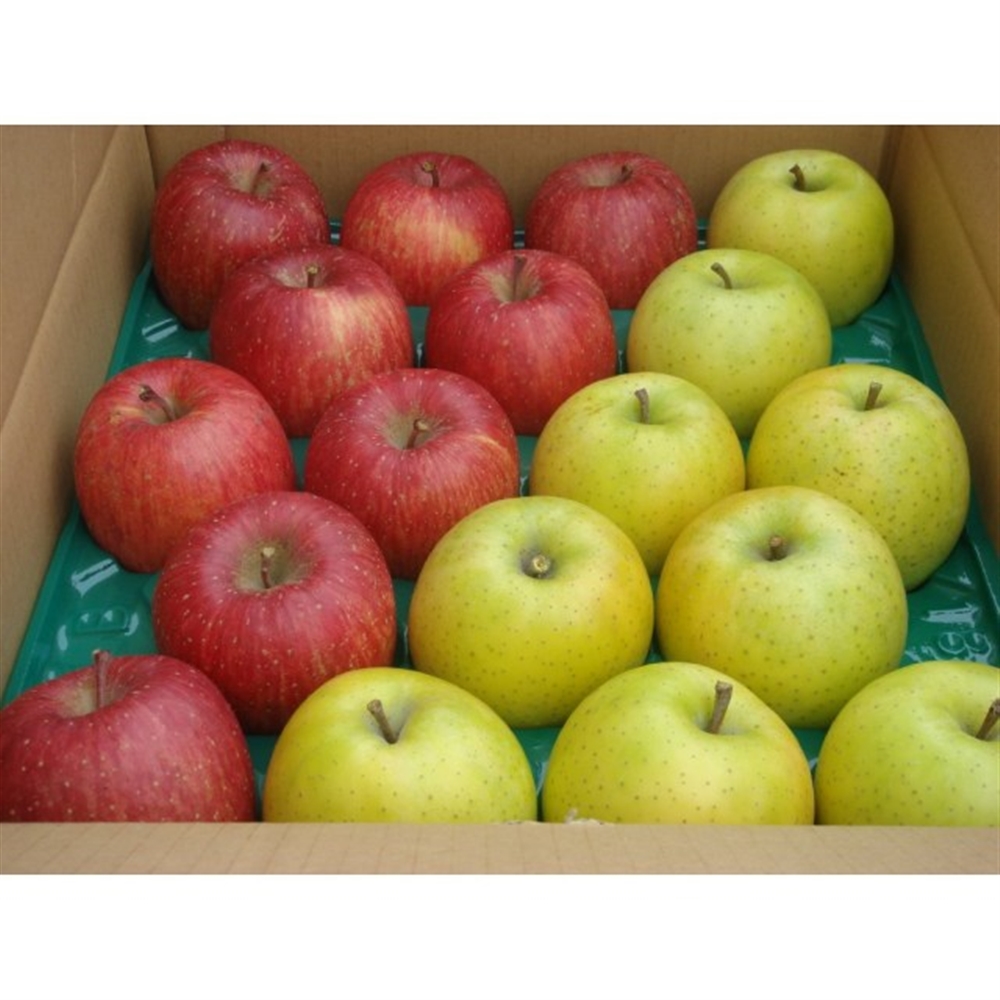 【リマ特選直送品】竹嶋さんのりんご サン・ふじ・サン・王林詰め合せ【販売期間:12月1日~4月30日予定】