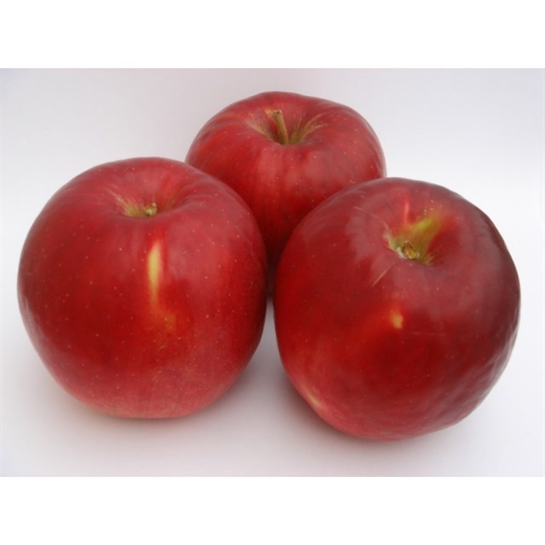 【リマ特選直送品】竹嶋さんのりんご サン・紅玉【販売期間:10月1日~3月31日予定】