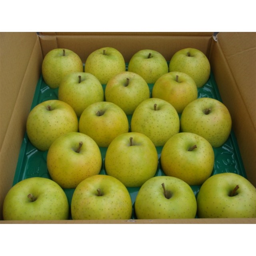 【リマ特選直送品】竹嶋さんのりんご サン・王林【販売期間：11月1日～4月30日予定】