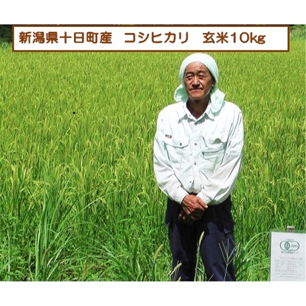 【リマ特選直送品】佐藤克未さんの魚沼産コシヒカリ 玄米