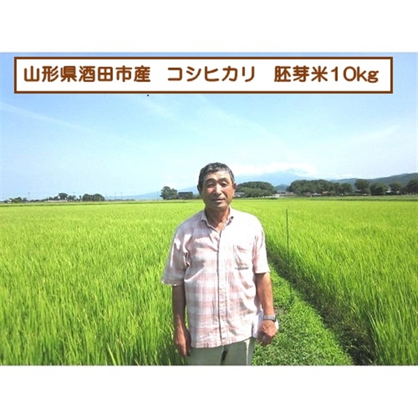 【リマ特選直送品】佐藤秀雄さんのコシヒカリ 胚芽米