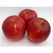 【リマ特選直送品】竹嶋さんのりんご 　サン・紅玉【販売期間：10月1日～3月31日予定】