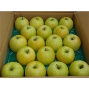 【リマ特選直送品】竹嶋さんのりんご サン・王林【販売期間：11月1日～4月30日予定】