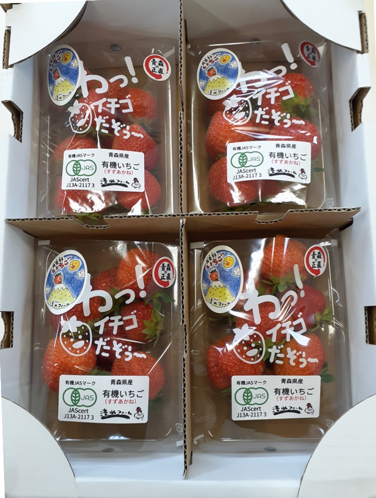 有機いちご(すずあかね)　4箱(16パック)