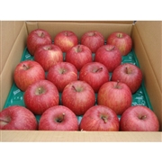 【リマ特選直送品】竹嶋さんのりんご 　サン・早生ふじ【販売期間：10月1日～11月10日予定】