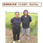 【リマ特選直送品】黒澤さんのひとめぼれ 玄米